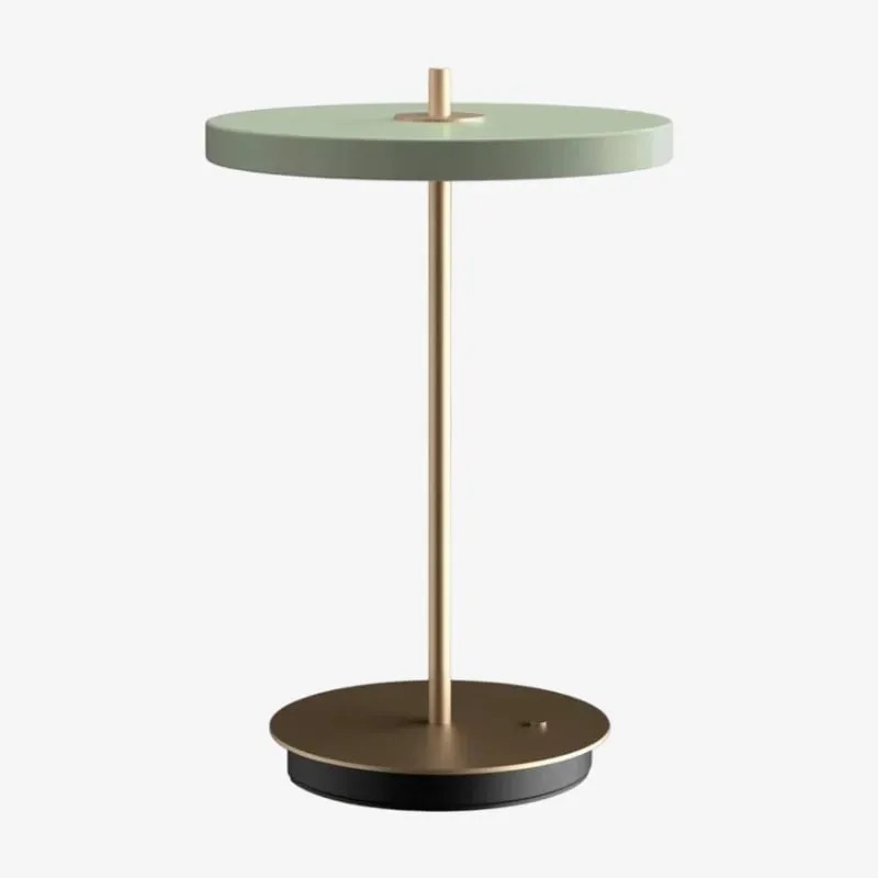 Astris Modern Minimalist Metal Table Lamp for Living Room and Office KL2142