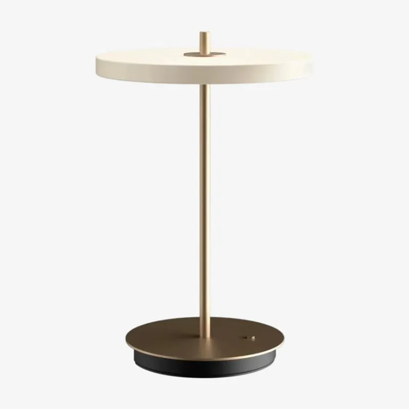 Astris Modern Minimalist Metal Table Lamp for Living Room and Office KL2142