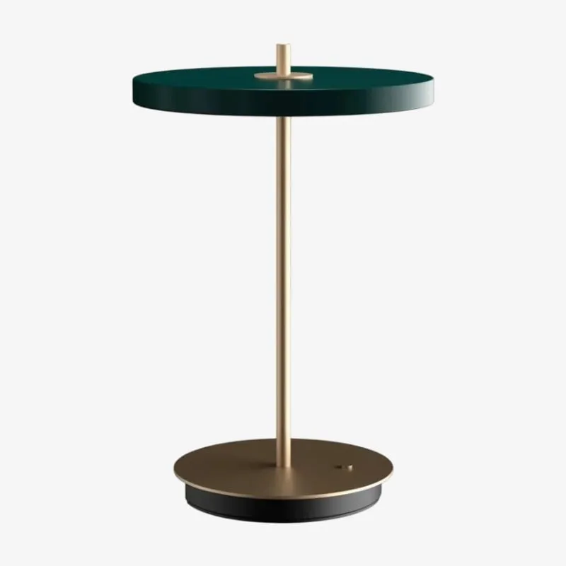 Astris Modern Minimalist Metal Table Lamp for Living Room and Office KL2142