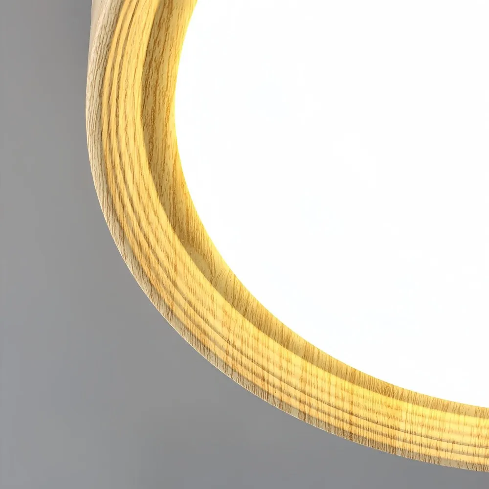 Vintage Scandinavian Round Energy LED Ceiling Lamp KL169