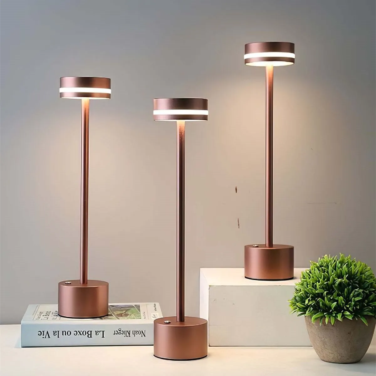 Frisbee Portable Touch Cordless LED Desk Lamp KL43