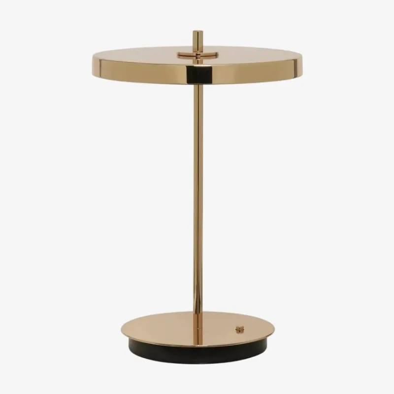 Astris Modern Minimalist Metal Table Lamp for Living Room and Office KL2142
