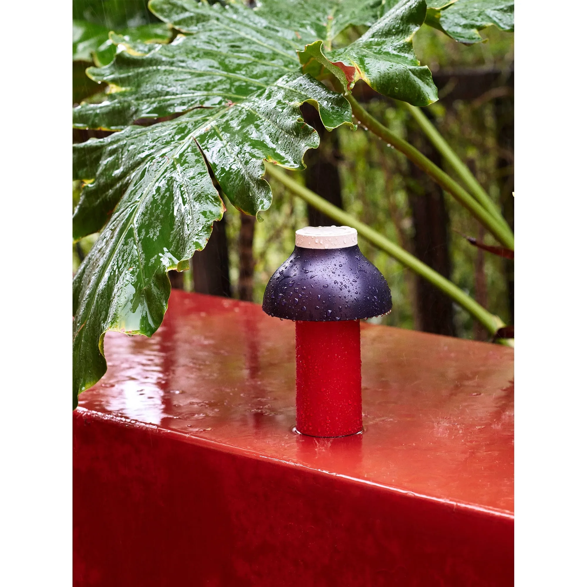 PC Portable Table Lamp (Built-in Battery) D646