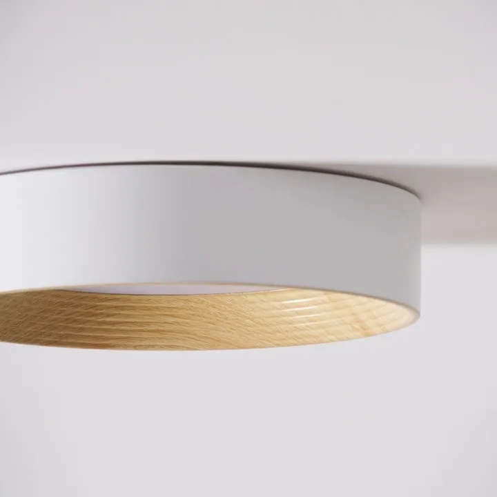 Cedronis Minimalist Ceiling Fixture - Modern Indoor Lighting Solution KL2274