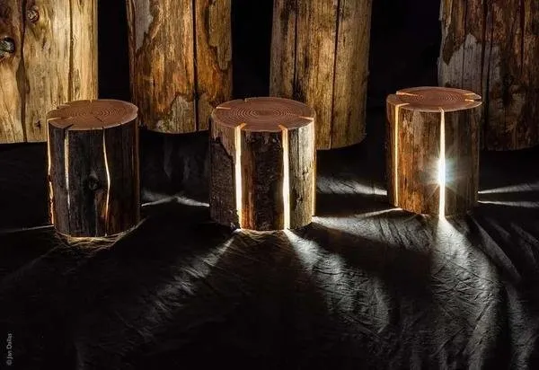 Cracked Stump Lamp