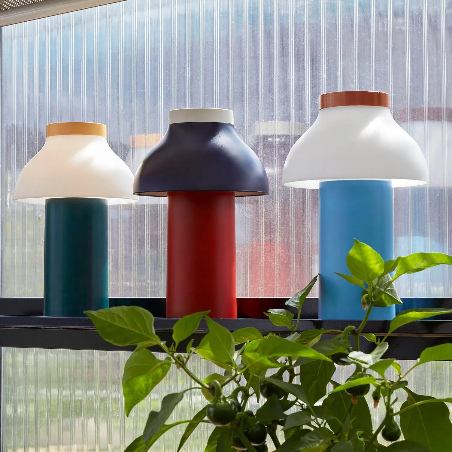 PC Portable Table Lamp (Built-in Battery) D646