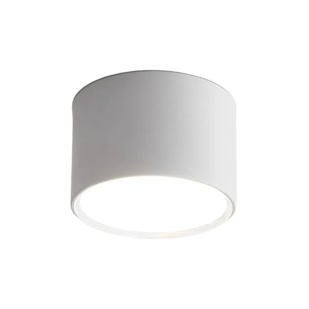 LED Ceiling Light