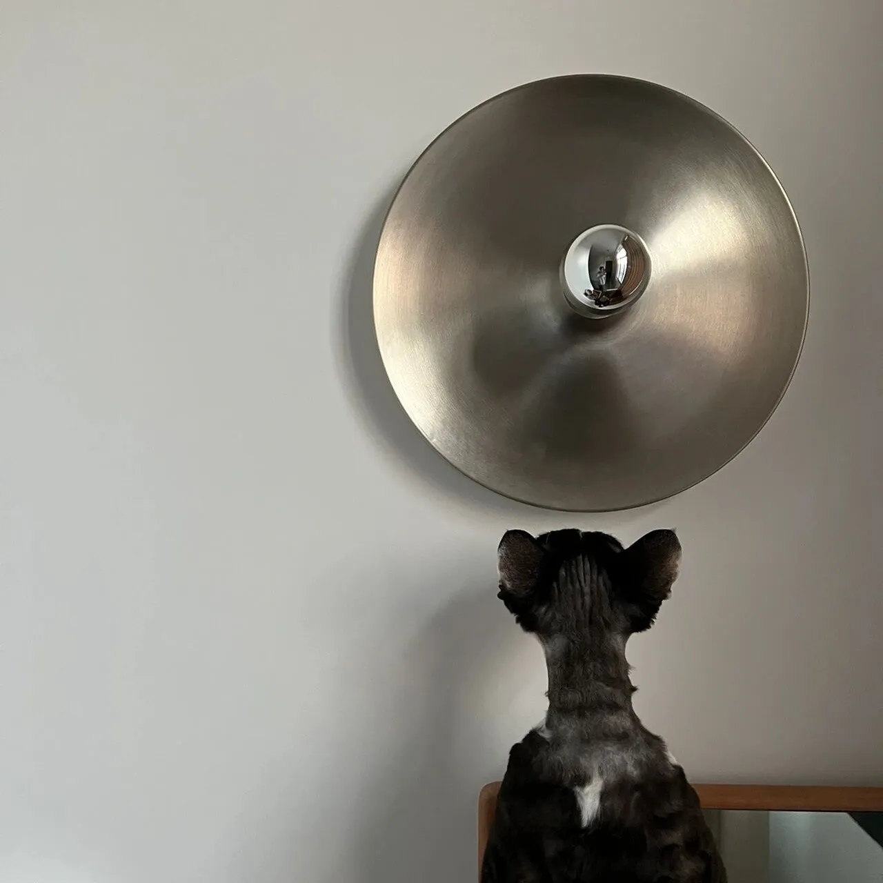 Space Age Disc Ceiling Lamp KL911