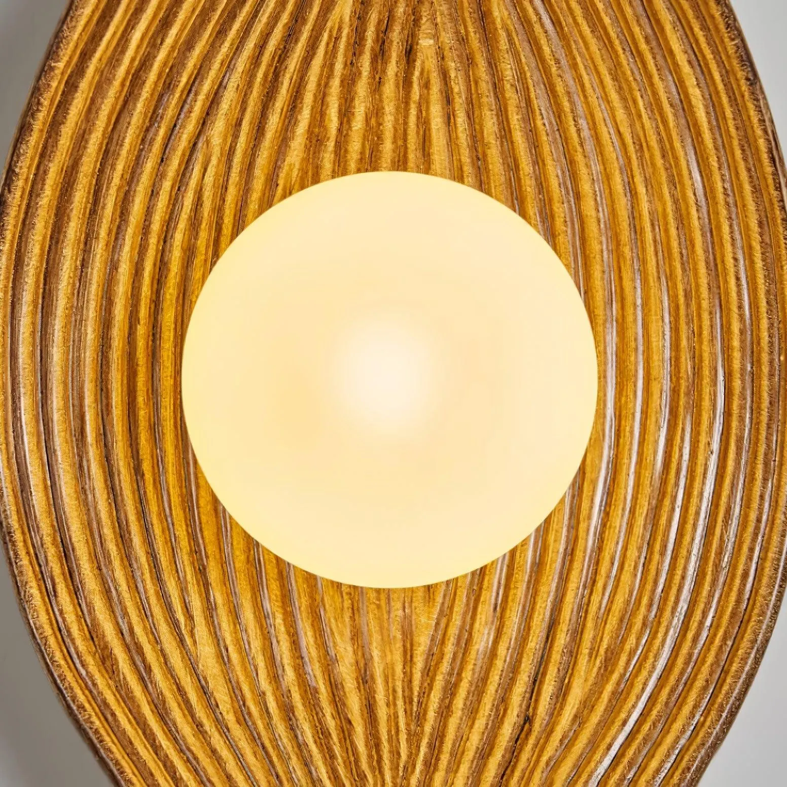 Contemporary Nordic Leaf Resin Wall Light KL445
