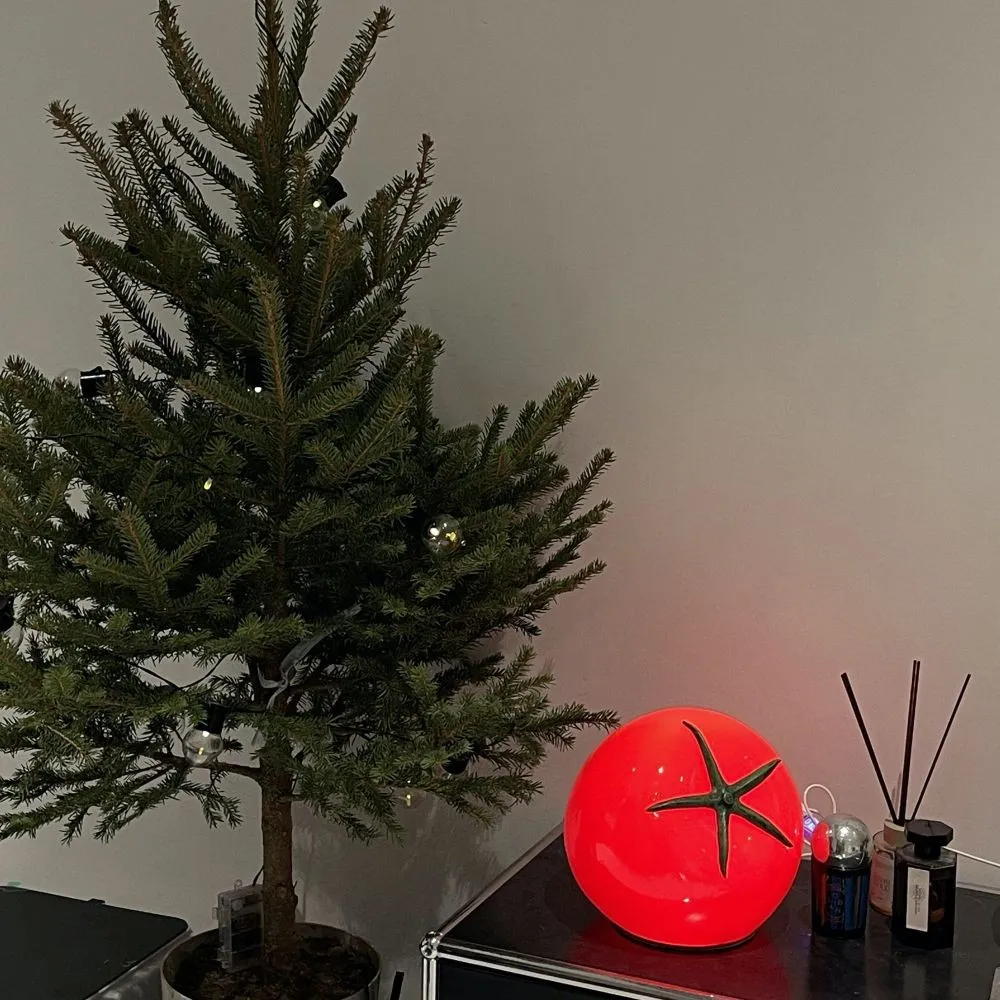 Modern Creative Design Tomato Lamp KL34
