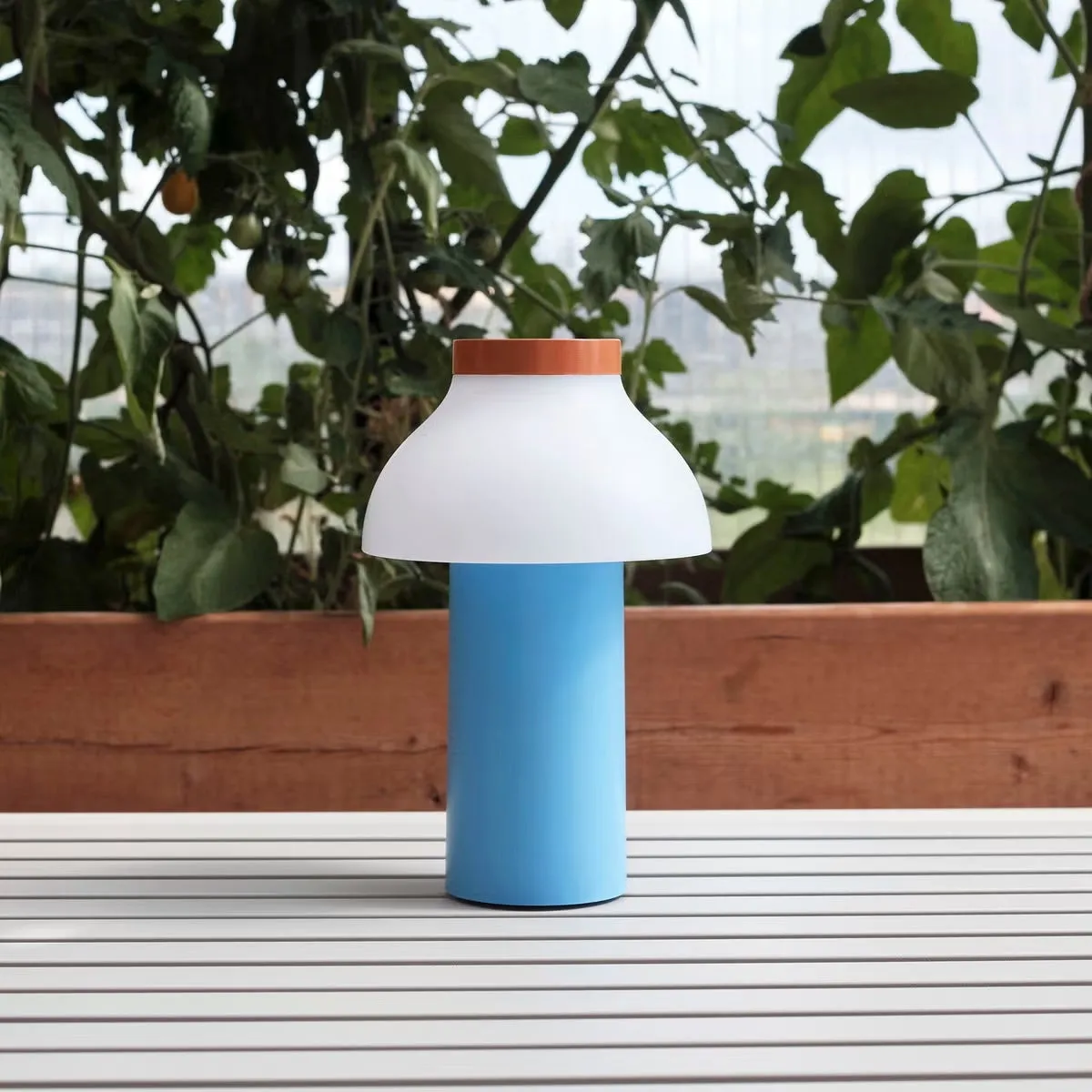 PC Portable Table Lamp (Built-in Battery) D646