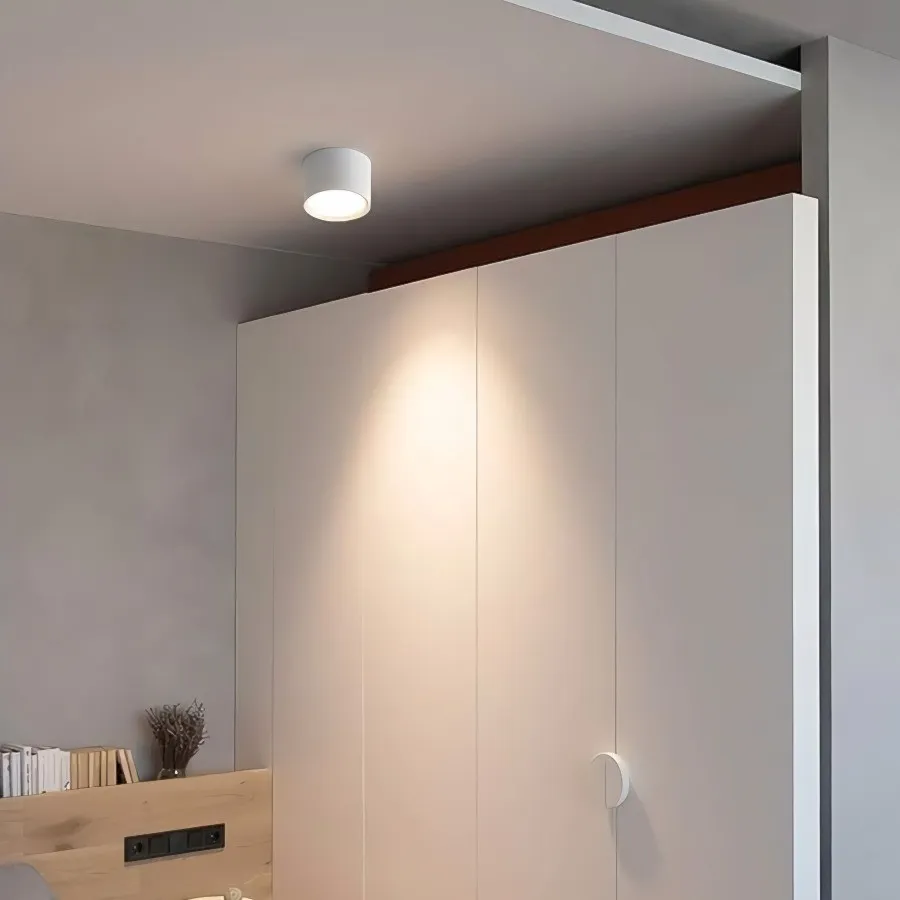 LED Ceiling Light