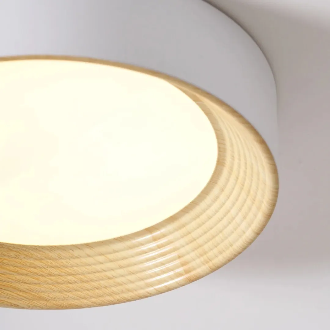 Cedronis Minimalist Ceiling Fixture - Modern Indoor Lighting Solution KL2274