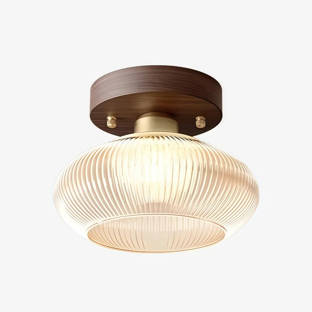 Soliro Sleek Round Glass Ceiling Light - Modern Dome Shade Ceiling Lamp for Entryway KL2221